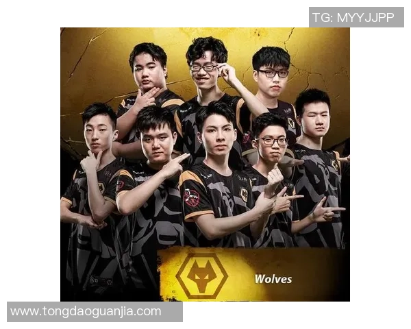 狼队与莱切城激战正酣精彩直播全程回顾与分析