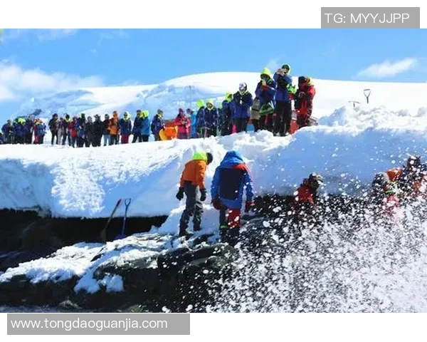 苏伟的成长之路：从普通学生到行业领军人物的奋斗历程与启示