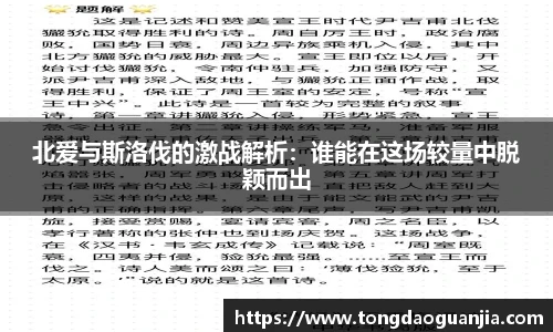北爱与斯洛伐的激战解析：谁能在这场较量中脱颖而出