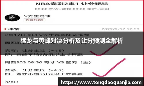 猛龙与黄蜂对决分析及让分预测全解析